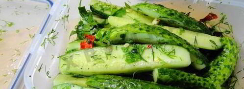 быстромаринованные огурцы в контейнере. Шаг 4