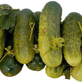 Маринованные огурцы