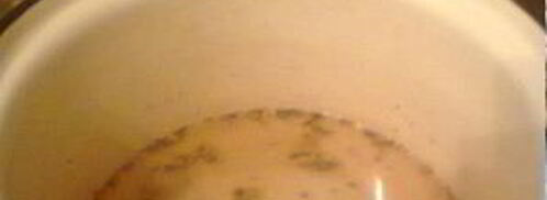 маринованная черемша на зиму. Шаг 2