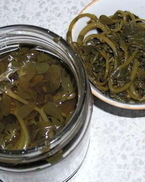 Маринованный портулак