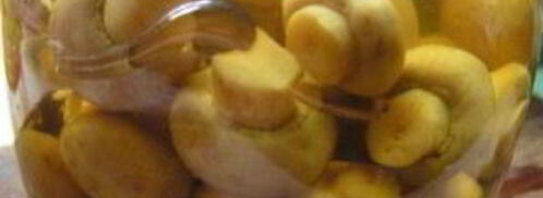 маринованные грибочки на зиму. Шаг 3