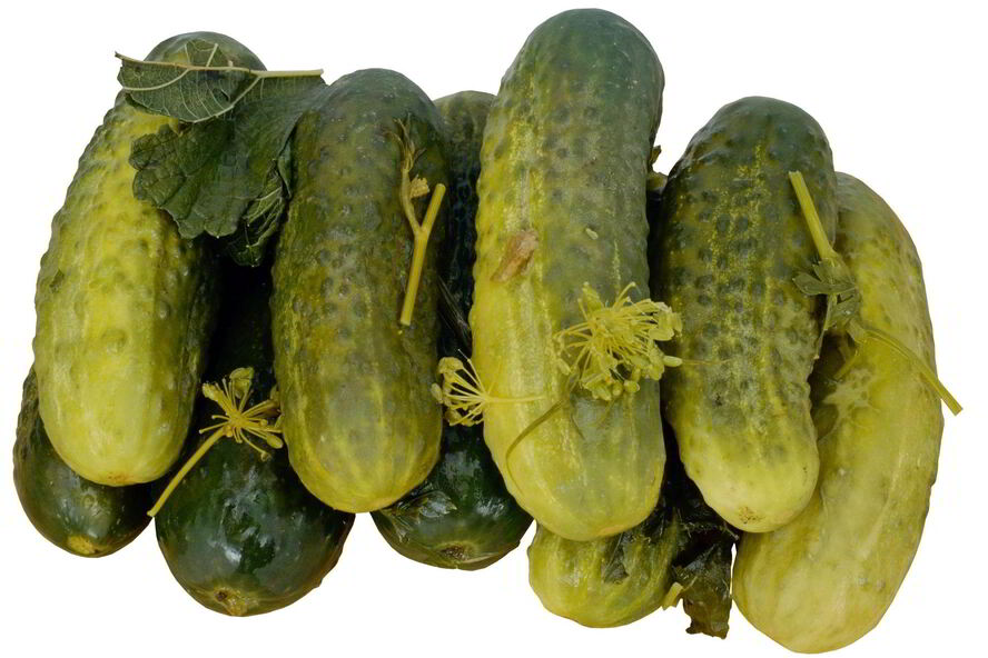 Рецепт маринованные огурцы без стерилизации