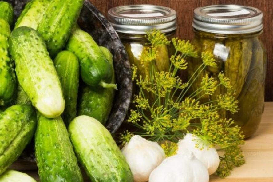 Рецепт маринованные огурцы globus