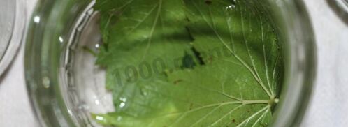 маринованные огурцы globus. Шаг 2