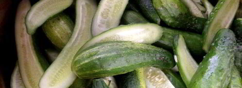 маринованные огурцы с горчицей. Шаг 10