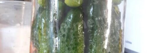 маринованные огурцы в банках с гвоздикой. Шаг 2