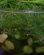 Маринованные огурцы