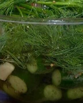 Маринованные огурцы