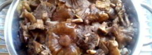 маринованные опята без сахара. Шаг 2