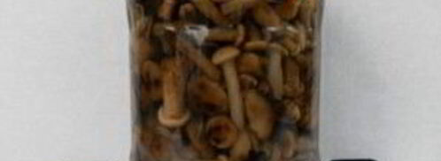 маринованные опята в мультиварке. Шаг 4