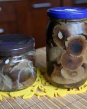 Маринованные опята