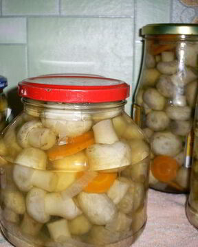 Маринованные шампиньоны Новогодние