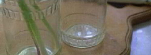 молодой чеснок маринованный. Шаг 2