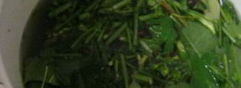 острые огурчики на зиму. Шаг 2