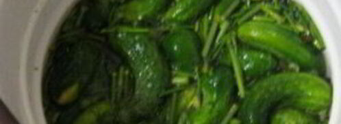 острые огурчики на зиму. Шаг 3