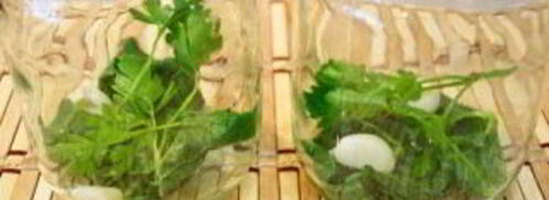 помидоры черри на зиму. Шаг 5