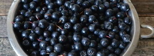 сок из черноплодной рябины на зиму. Шаг 8