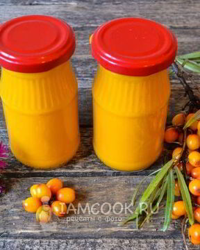 Сок из облепихи на зиму через соковыжималку