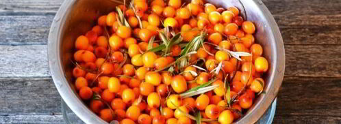 сок из облепихи на зиму через соковыжималку. Шаг 5