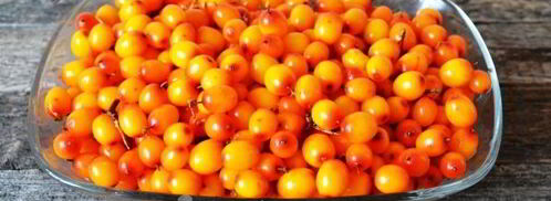 сок из облепихи на зиму через соковыжималку. Шаг 6