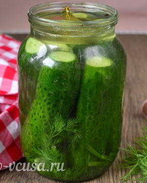 Быстрые малосольные огурцы в банке