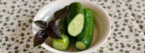 быстрые малосольные огурцы. Шаг 8