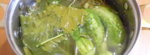 хрустящие малосольные огурчики. Шаг 8