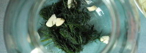 консервированные помидоры пальчики оближешь. Шаг 2