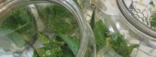 консервированные помидоры. Шаг 3