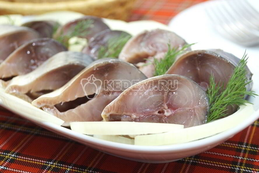 Рецепт малосольная скумбрия