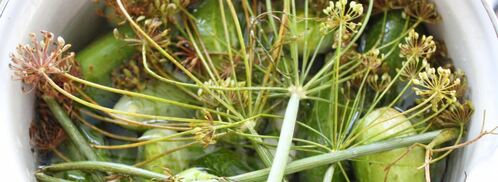 малосольные огурчики на минералке. Шаг 3