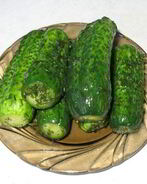 Малосольные огурцы без рассола