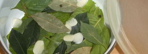 малосольные огурцы к обеду. Шаг 4