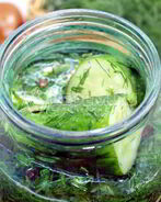 Малосольные огурцы в банке