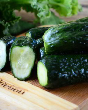 Малосольные огурцы за сутки