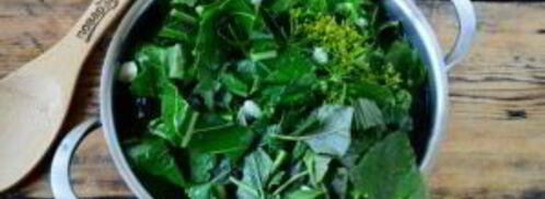 малосольные огурцы за сутки. Шаг 8