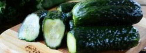 малосольные огурцы за сутки. Шаг 10