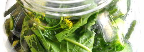 огурцы малосольные. Шаг 4