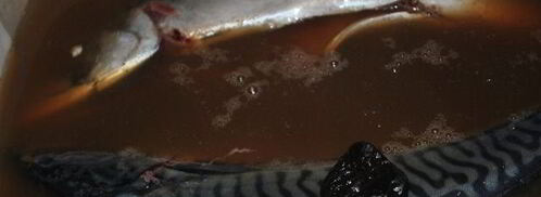 соленая скумбрия с черносливом. Шаг 2