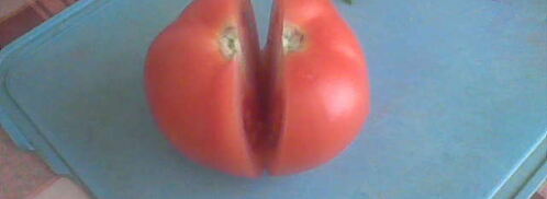 соленые бурые помидоры. Шаг 4