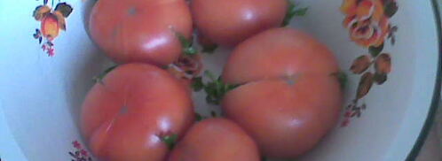 соленые бурые помидоры. Шаг 7