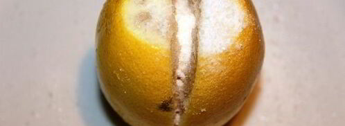 соленые лимоны по-мароккански. Шаг 4