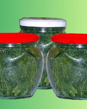 Свежий укроп в банках