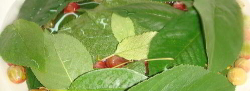 крыжовенное варенье царское. Шаг 4