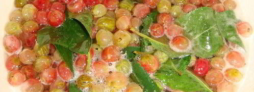 крыжовенное варенье царское. Шаг 7