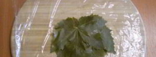 виноградные листья на зиму. Шаг 5