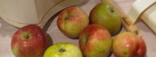 яблочный сок на зиму через соковыжималку. Шаг 2