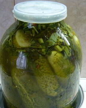 Засолка огурцов в банках