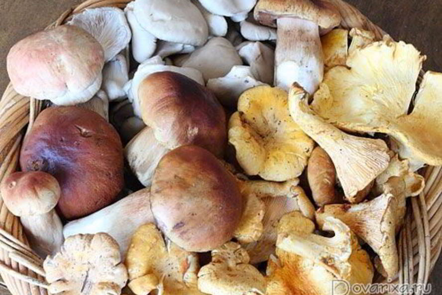 Рецепт жареные грибы на зиму