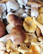 Жареные грибы на зиму